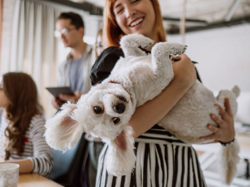 mapeamento-de-riscos-oncologicos-oncomapa-2