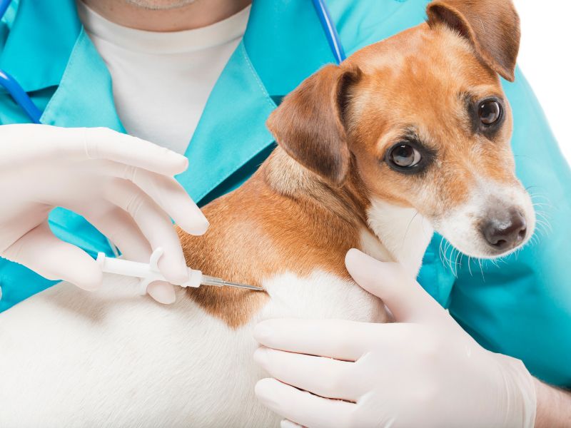 mapeamento-de-riscos-oncologicos-oncomapa