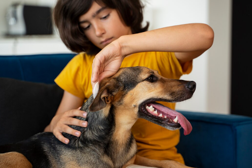 doenca-do-carrapato-tem-cura-04