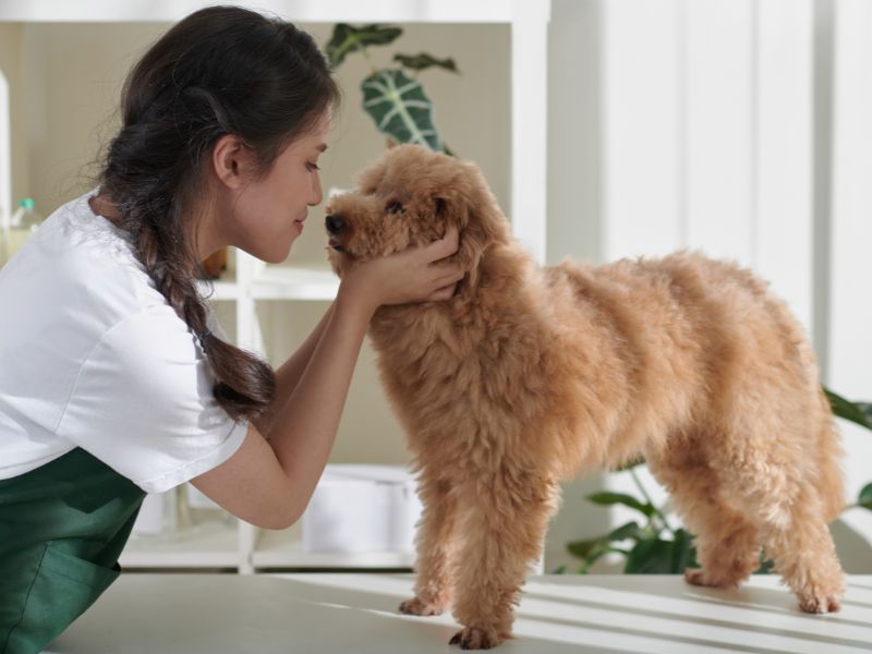 inovacao-teste-genetico