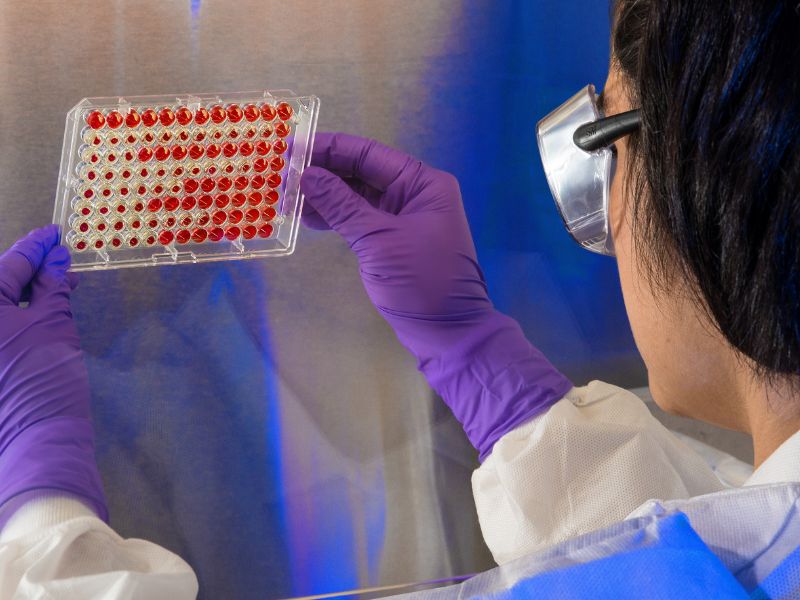 anticorpo-monoclonal-2