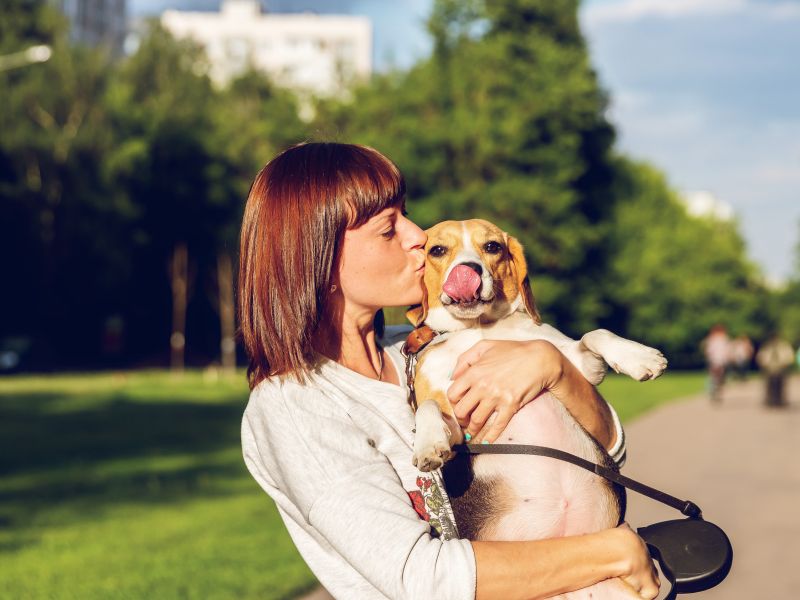 teste-genetico-para-cachorro-4