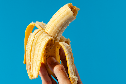 cachorro-pode-comer-banana-01