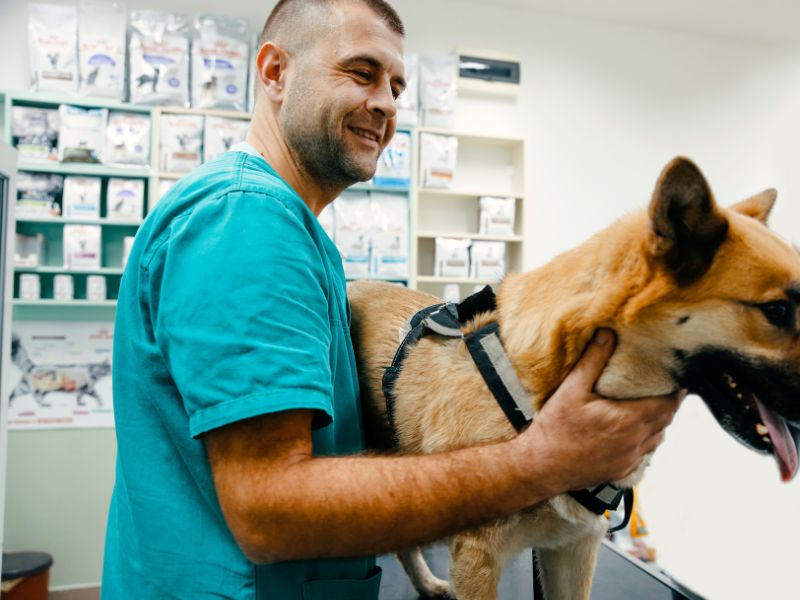 mapeamento-de-riscos-oncologicos-oncomapa-4